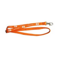 Tubular Custom Lanyards-Polyester Screen Print 5/8"X36"